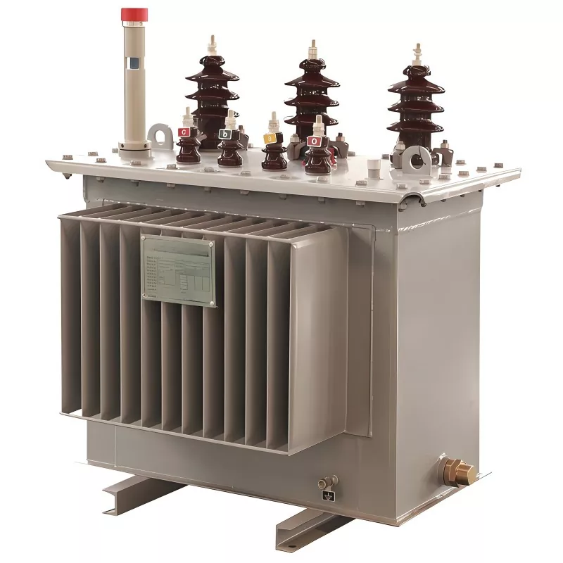 محول مغمور بالزيت 100KVA 11KV